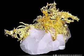 金矿石照片汇总（太美了）图片
