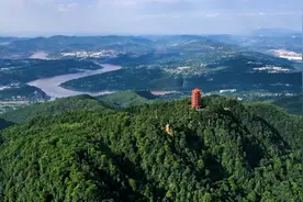 扩容一年，重庆这“一区”发展如何图片