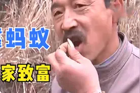 50岁男子不干农活沉迷抓蚂蚁，被村民嘲笑，没想到他却靠蚂蚁致富图片
