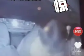 东方快评丨女乘客强吻出租车司机 同样也是性骚扰图片