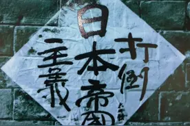 为了忘却的纪念——抗战烽火中的新野故事图片