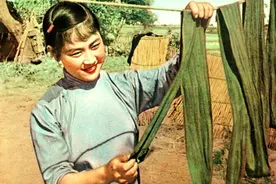 《沙家浜》与《柳堡的故事》对照，折射出故事原型地的地域差异图片