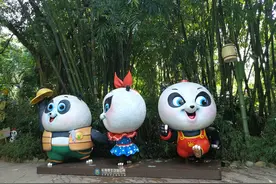 广州长隆野生动物园风景（二）图片