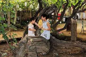 庭院葡萄种植，小农庄6字诀窍，果穗大、糖度高、色泽好图片