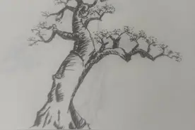 学会飘枝的运用，盆景变得更美图片