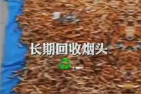 大量回收烟头？企业：还比较赚钱 ​图片