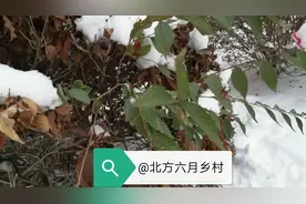 于三姨的后妈之路图片