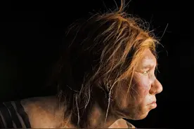 300万年前，第一个人类身份确定！问题是，他的父母是人类吗？图片