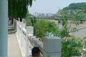 《甘肃农建十一师与兰州兵团农一师》图片