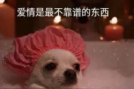 表情包下载拿图片：不想理你，还在生气吗图片