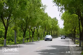 2021年洛阳市十大最美乡村旅游路体验之旅启动图片