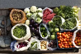 从《随园食单》到《素食说略》，聊一聊清代食料的发展与存储方式图片