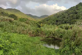 深圳阳台山的深山中藏着一个废弃的古寺，它的来历几乎无人知晓图片