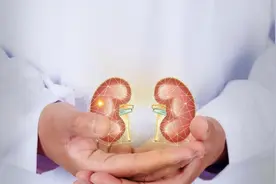肾脏“强大”的男性，手上或有3个特征，进来看看你占了几个？图片