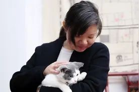办公室宠物女管家：每天帮同事照顾15只猫狗，公司招人养宠优先视频封面