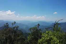 从莫干山回来，这位陕南姑娘花100万造深山老家图片