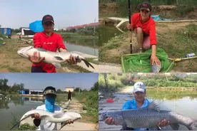 夜钓青鱼与白天有何不同，要想提高鱼获，选择“漂饵线”是关键图片