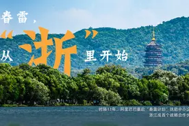 "浙"就是"春雷"！浙江阿里牵手数字化转型计划图片