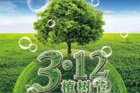 认“栽”吧，树“兄弟”，你逃不出我的手掌心！图片