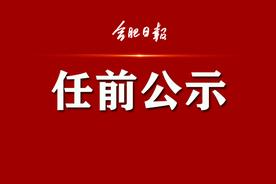 最新干部任前公示公告！涉合肥多个县（市）区党委、政府正职图片