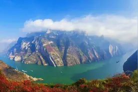 拦坝20多年的三峡水库，已是鱼的天堂，水库里的鱼最大有多大？图片