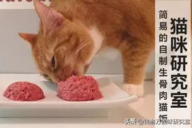 「生骨肉系列」一种简易的生骨肉猫饭制作办法图片
