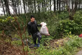 在河边收地笼图片