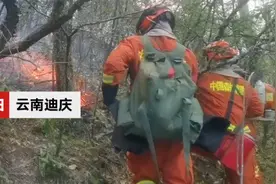 云南香格里拉发生森林火灾1100余人正紧急扑救 现场沟谷纵横滚石较多图片