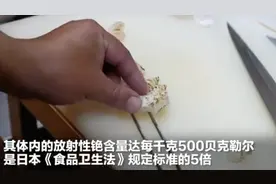 日本福岛再现“辐射鱼”，除了这种鱼，还有4种鱼再便宜也别贪嘴图片