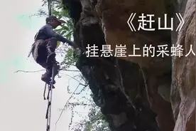 住在石洞的云南养蜂人，爬上60米高的悬崖采摘“软黄金”，纪录片图片