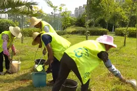 处置红火蚁巢穴超五千个 官渡街道积极展开联防联治图片