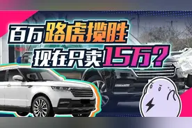 15万买国产山寨揽胜，路虎车主看了直摇头图片