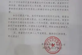 印尼中国劳工实录：工资被拖欠，有人自杀、摔断腿，归国愈发艰难图片
