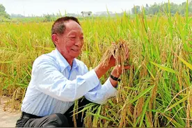 22个热搜、过百位明星悼念，袁隆平才是这个时代真正的国民偶像图片