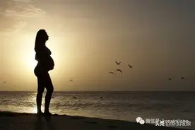 因怀孕而被公司裁退！持新加坡WP工作准证的员工能生孩子吗？图片
