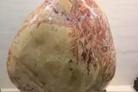 山东哪些地方盛产奇石？图片