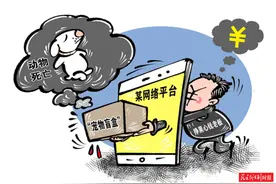 快递“宠物盲盒”违反邮政法 还有哪些物品不能任性“寄”？图片