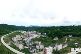 年产值8000多万元，贵港这个村子着力打造网红产业！图片