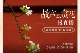 故宫门票炒到了1200元？不会还有人不知道故宫可以免费逛的吧图片