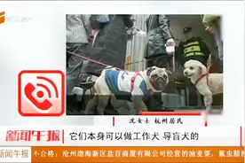 “最严养犬令”：遛狗不牵绳，最高可罚款1000元，遛狗还有时间段视频封面