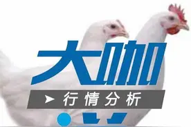 817肉杂毛鸡行情（棚前价格）5月8日图片