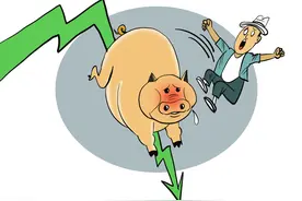 猪市又“大跌”，一头猪亏800元，此轮下跌周期2.5年？跌到何时？图片