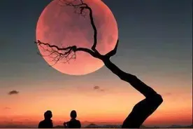 师恩难忘，友情长存图片