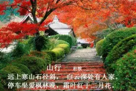 远上寒山石径斜，是“xia”还是“xie”？老师：不懂别乱教图片