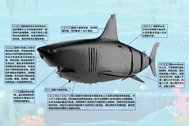 揭秘史上最帅仿生海洋机器人RoboShark图片