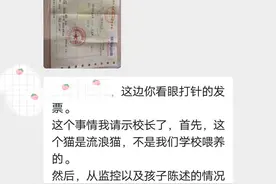 学生校园内被野猫挠伤 责任如何划定？图片