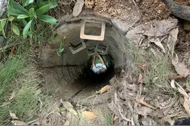 暖心！清远一男子救狗掉入下水道，消防员成功将其解救图片