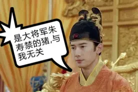 历史上禁猪令的来历图片