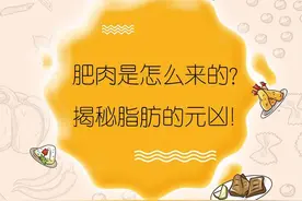 肥肉是怎么来的，揭秘脂肪的元凶！图片