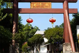 盘点我国20个省的代表名茶，看看你在的地方是什么茶图片